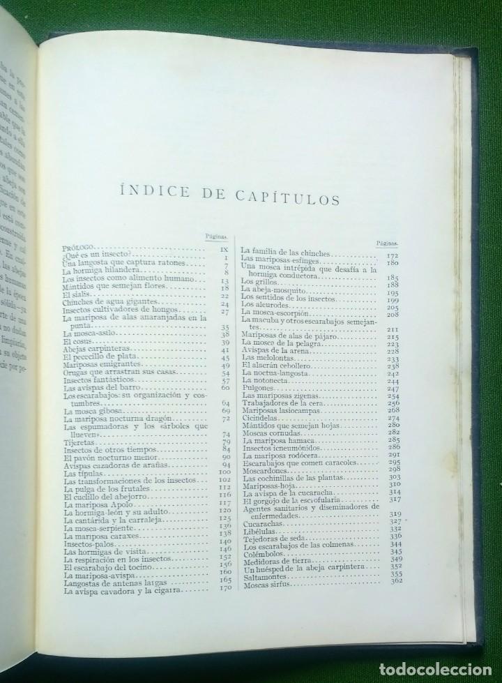Libros antiguos: MARAVILLAS DE LA VIDA DE LOS INSECTOS - 1926 - Foto 4