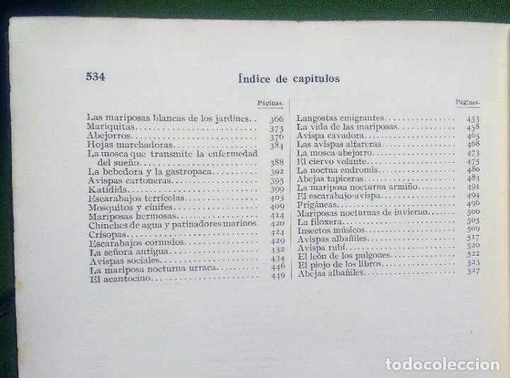 Libros antiguos: MARAVILLAS DE LA VIDA DE LOS INSECTOS - 1926 - Foto 5