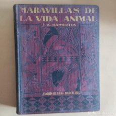 Libros antiguos: MARAVILLAS DE LA VIDA ANIMAL.J.A.HAMMERTON.1ª EDICION 1930.JOAQUIN GIL EDITOR.TOMO II. 485-960 PAGS.