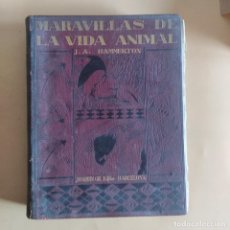 Libros antiguos: MARAVILLAS DE LA VIDA ANIMAL.J.A.HAMMERTON.1ª EDICION 1930.JOAQUIN GIL EDITOR.TOMO I. 1 - 484 PAGS.