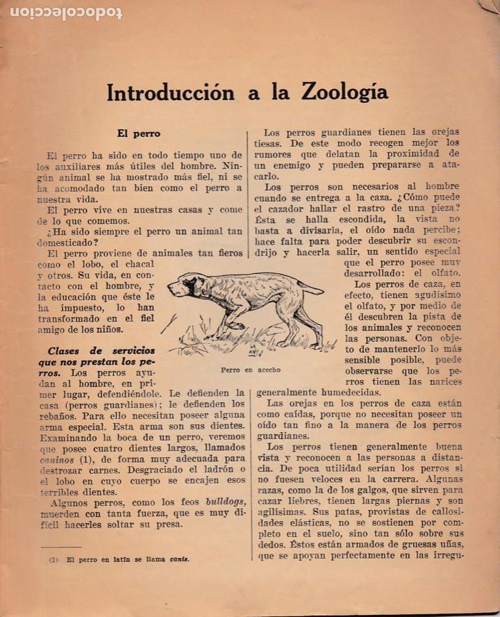 Libros antiguos: Introducci&oacute;n a la Zoolog&iacute;a - 1932 - Foto 2
