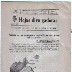 Libros antiguos: AÑO 1926 * GUSANO DE MANZANAS Y PERAS * LINNEO * PUBLICACION AGRICOLA. Lote 27311275