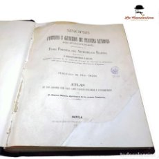 Libros antiguos: SINOPSIS DE FAMILIAS Y GÉNEROS DE PLANTAS LEÑOSAS DE FILIPINAS. D. SEBASTIÁN VIDAL Y SOLER. 1883.. Lote 284630468