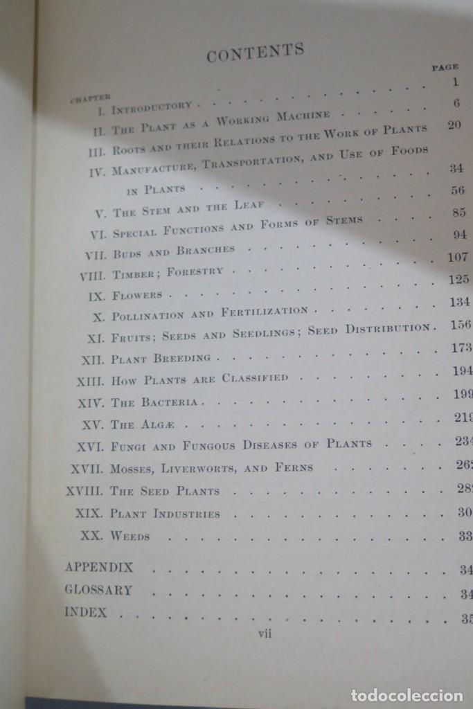 Libros antiguos: 1914.- INTRODUCTION BOTANY. CALDWELL - Foto 3