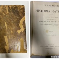 Libros antiguos: LA CREACION. HISTORIA NATURAL. TOMO VI - ARTICULADOS.JUAN VILLANOVA Y PIEDRA. MONTANER Y SIMON. 1875