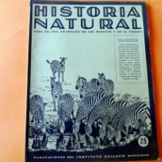 Libros antiguos: HISTORIA NATURAL - INSTITUTO GALLACH 1925 - FASC 28 VIDA DE LOS ANIMALES, DE LAS PLANTAS Y LA TIERRA. Lote 297520553