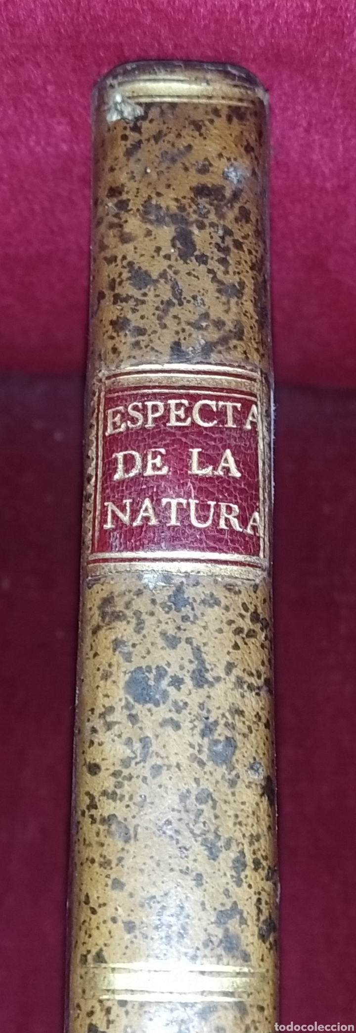 Libros antiguos: Espectaculo de la naturaleza. 1755. Tomo d&eacute;cimo cuarto. - Foto 3