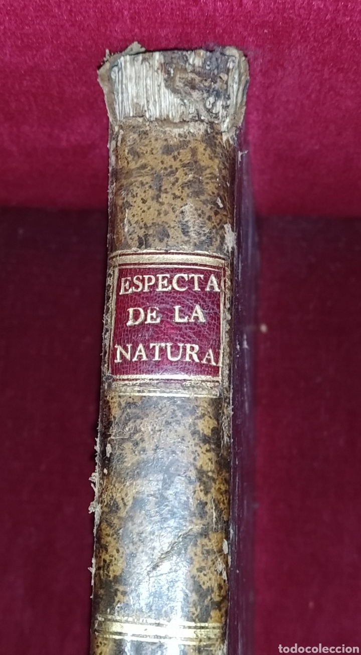 Libros antiguos: Espectaculo de la Naturaleza. Tomo XVI parte octaba - Foto 2