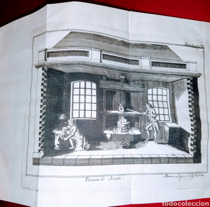 Libros antiguos: Espectaculo de la Naturaleza. Tomo duod&eacute;cimo. 1754. - Foto 10