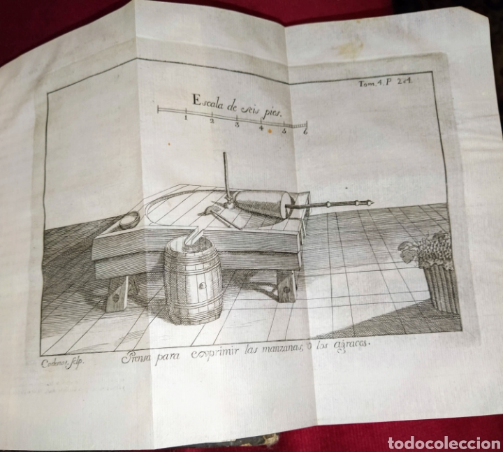 Libros antiguos: Espect&aacute;culo de la Naturaleza. Tomo IV. 1753. - Foto 8