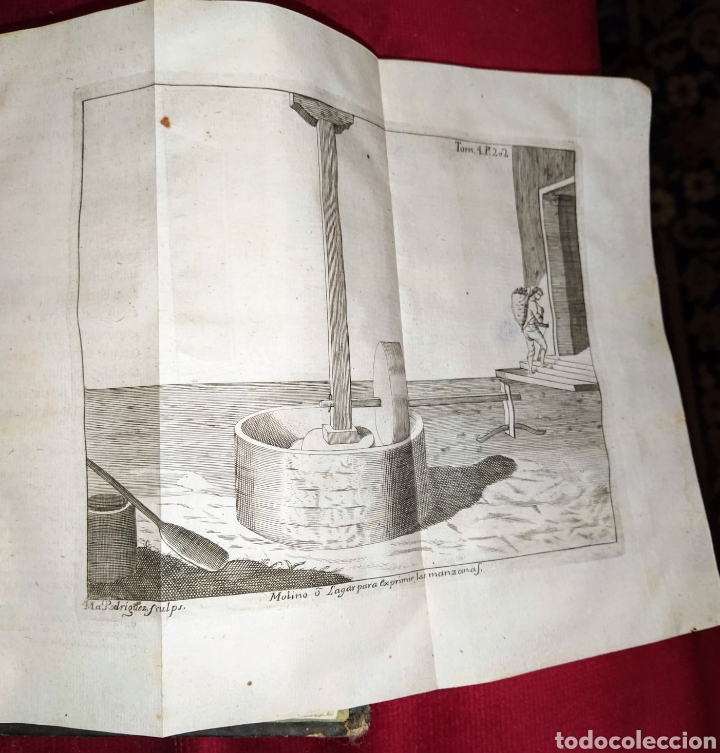 Libros antiguos: Espect&aacute;culo de la Naturaleza. Tomo IV. 1753. - Foto 9