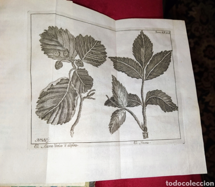 Libros antiguos: Espect&aacute;culo de la Naturaleza. Tomo IV. 1753. - Foto 12
