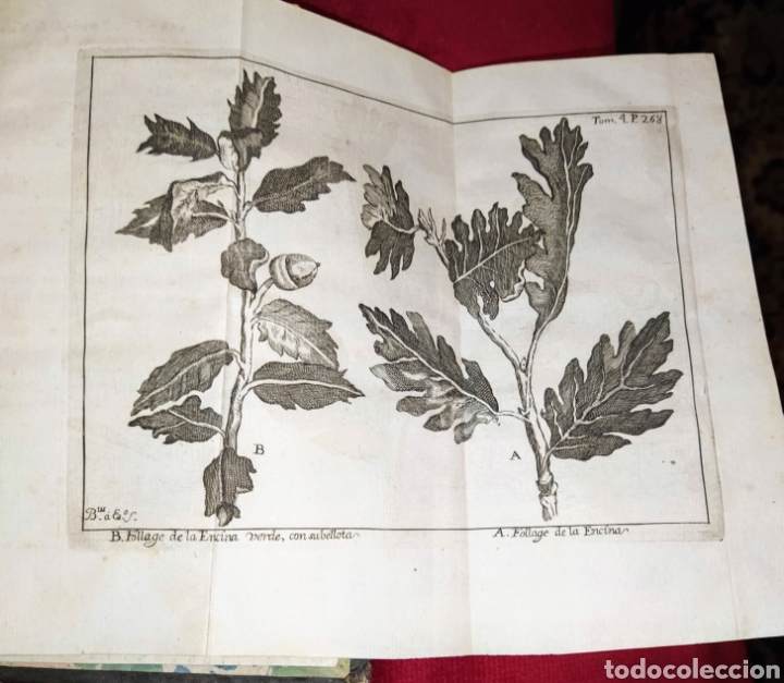 Libros antiguos: Espect&aacute;culo de la Naturaleza. Tomo IV. 1753. - Foto 13
