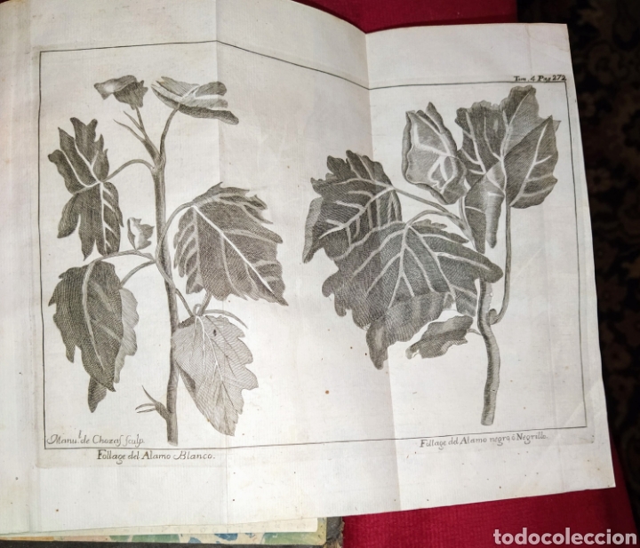 Libros antiguos: Espect&aacute;culo de la Naturaleza. Tomo IV. 1753. - Foto 14