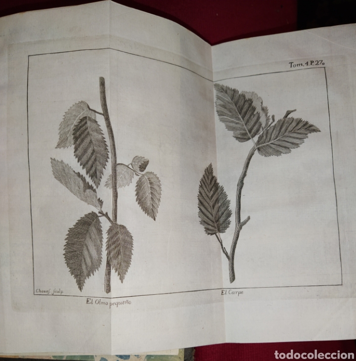 Libros antiguos: Espect&aacute;culo de la Naturaleza. Tomo IV. 1753. - Foto 15
