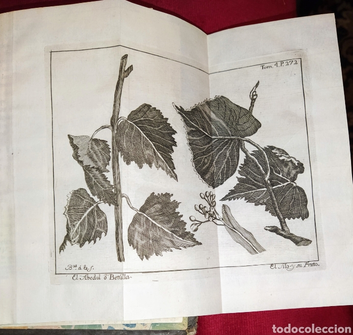 Libros antiguos: Espect&aacute;culo de la Naturaleza. Tomo IV. 1753. - Foto 16