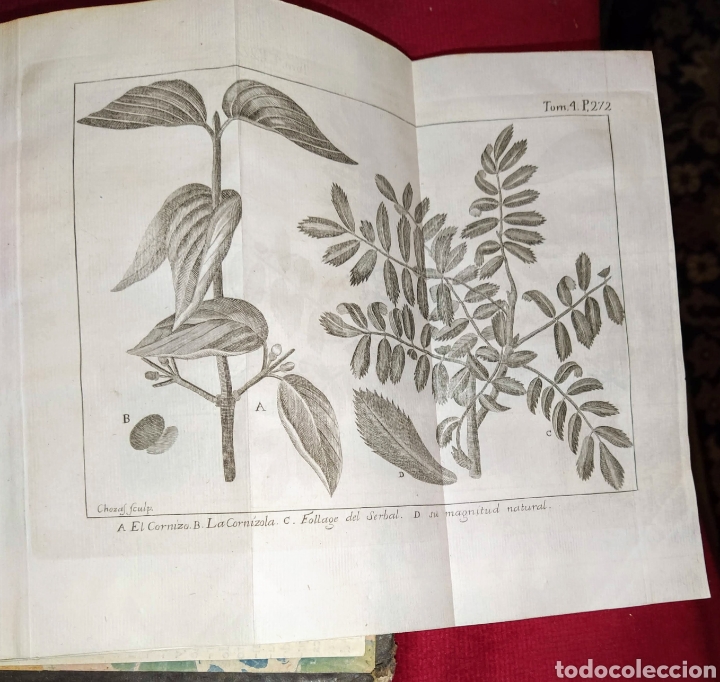 Libros antiguos: Espect&aacute;culo de la Naturaleza. Tomo IV. 1753. - Foto 17
