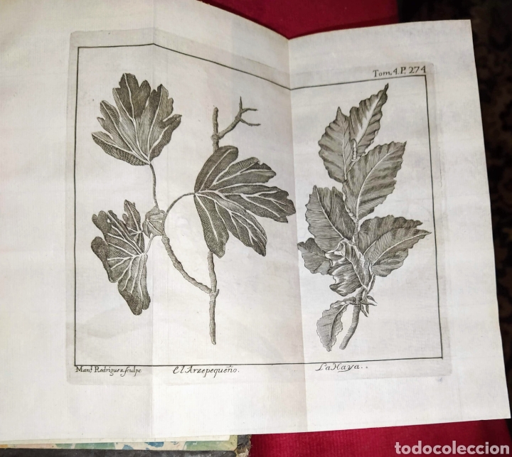 Libros antiguos: Espect&aacute;culo de la Naturaleza. Tomo IV. 1753. - Foto 18
