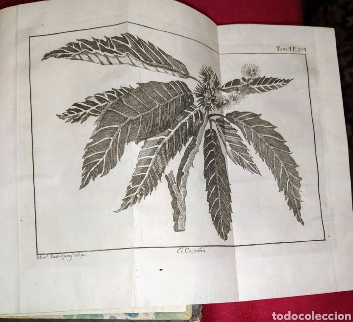 Libros antiguos: Espect&aacute;culo de la Naturaleza. Tomo IV. 1753. - Foto 19