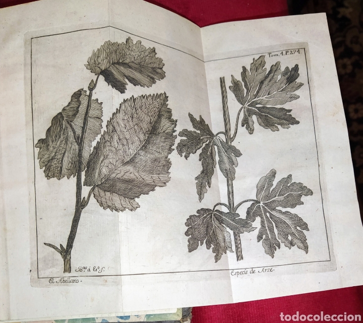 Libros antiguos: Espect&aacute;culo de la Naturaleza. Tomo IV. 1753. - Foto 20