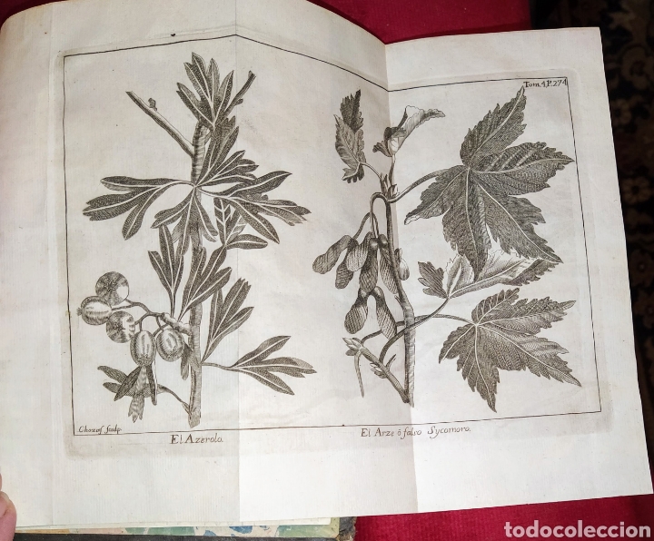 Libros antiguos: Espect&aacute;culo de la Naturaleza. Tomo IV. 1753. - Foto 21