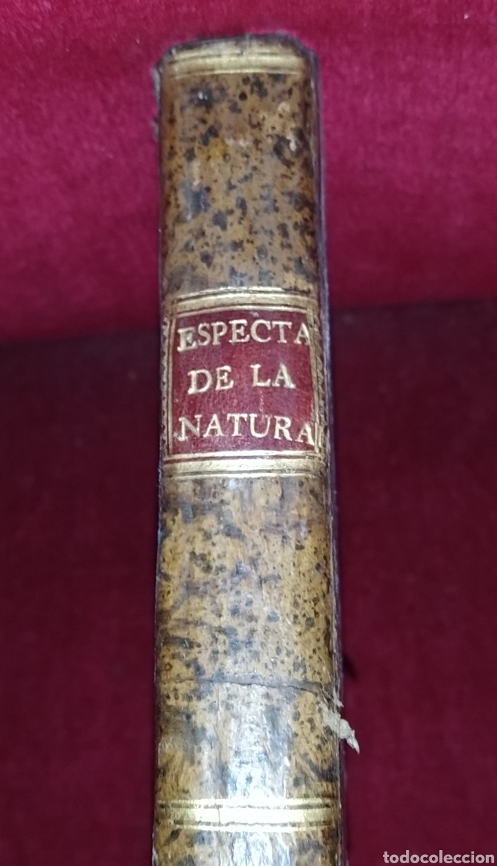 Libros antiguos: Espect&aacute;culo de la Naturaleza. Tomo XI. 1754. - Foto 4