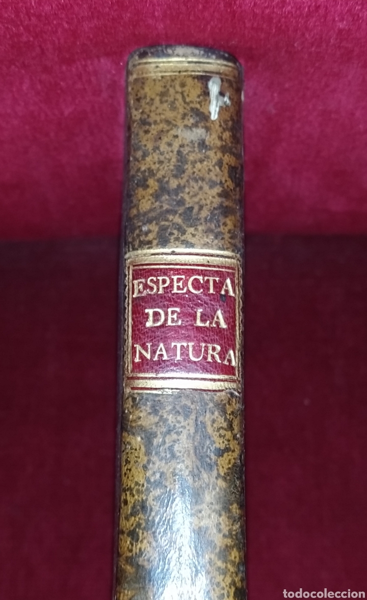 Libros antiguos: Espect&aacute;culo de la Naturaleza. Tomo Nono. 1754. - Foto 2