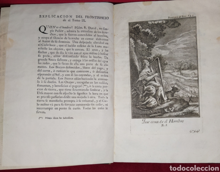 Libros antiguos: Espect&aacute;culo de la Naturaleza. Tomo Nono. 1754. - Foto 5