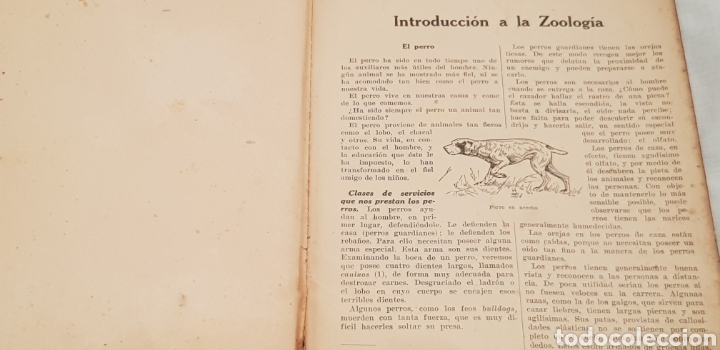 Libros antiguos: Introducci&oacute;n a la Zoolog&iacute;a 1935 - Foto 2