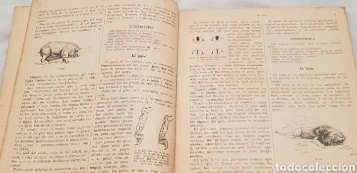 Libros antiguos: Introducci&oacute;n a la Zoolog&iacute;a 1935 - Foto 3