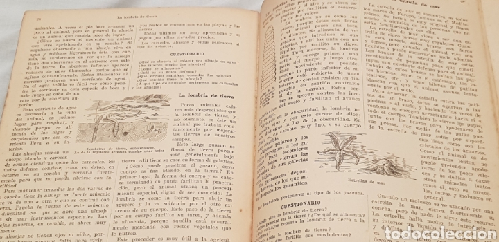 Libros antiguos: Introducci&oacute;n a la Zoolog&iacute;a 1935 - Foto 4