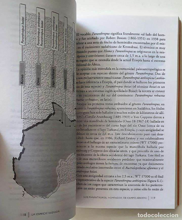 Libros antiguos: LA ESPECIE ELEGIDA. JUAN LUIS ARSUAGA. 1998. - Foto 3
