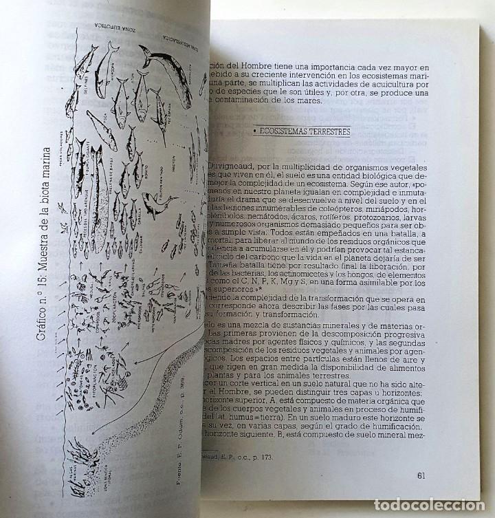 Libros antiguos: EDUCACION Y MEDIO AMBIENTE. CONOCIMIENTOS BASICOS. ECT 1989. - Foto 5