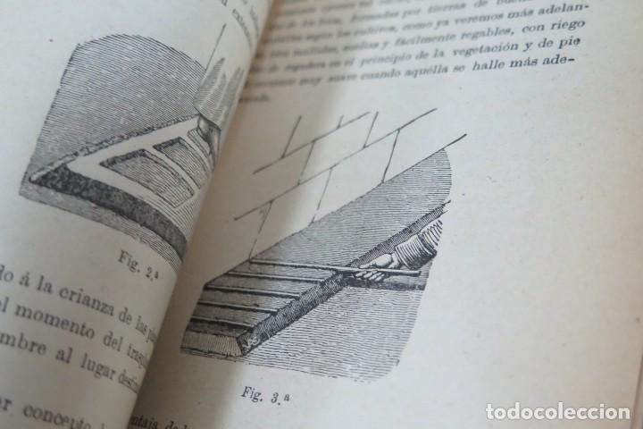 Libros antiguos: EL JARDIN Y LOS TIESTOS. SAN MARTIN - Foto 3
