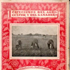 Libros antiguos: ELADIO MORALES ARJONA : EL AZAFRAN CULTIVO Y COMERCIO (ESPASA CALPE, 1935). Lote 310226558