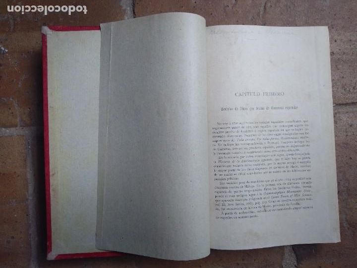 Libros antiguos: Azpeitia. Resumen de paleontolog&iacute;a. - Foto 2