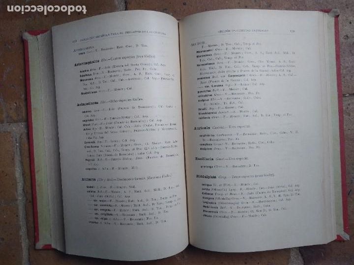 Libros antiguos: Azpeitia. Resumen de paleontolog&iacute;a. - Foto 3