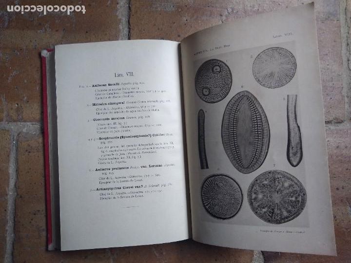 Libros antiguos: Azpeitia. Resumen de paleontolog&iacute;a. - Foto 7