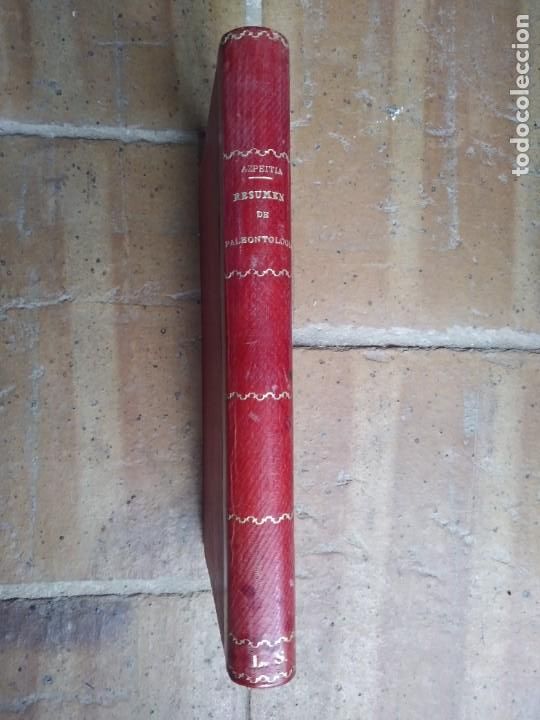 Libros antiguos: Azpeitia. Resumen de paleontolog&iacute;a. - Foto 1
