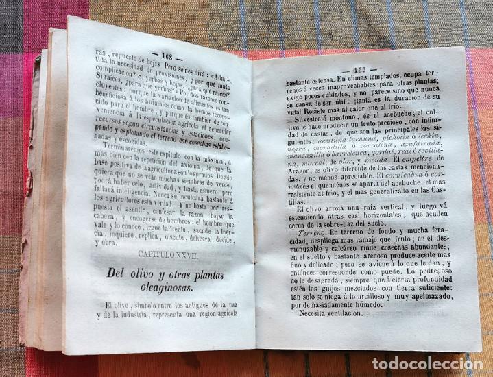 Libros antiguos: Manual de Agricultura. Alejandro Olivan. 1858 - Foto 3