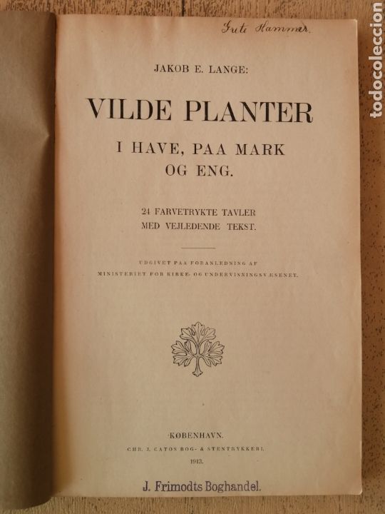 Libros antiguos: Antiguo Libro Plantas Salvajes, Vilde Planter - Foto 1