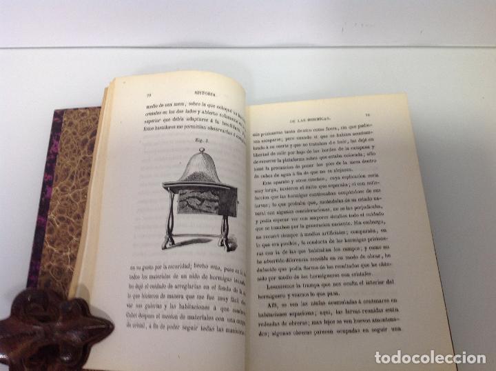 Libros antiguos: M HUBER HISTORIA DE LAS HORMIGAS 1867 - Foto 3