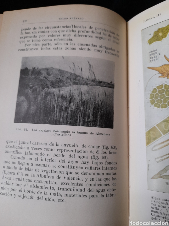 Libros antiguos: La vida en las aguas dulces de 1929 - Foto 7