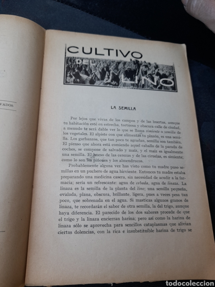 Libros antiguos: Antiguo libro, CULTIVO DEL LINO, - Foto 5
