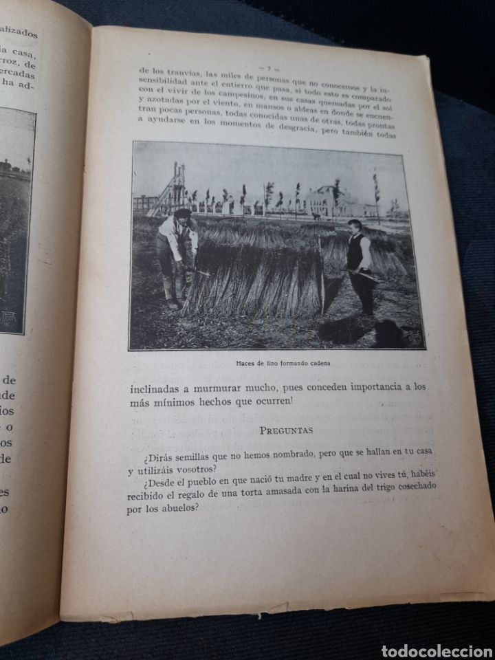 Libros antiguos: Antiguo libro, CULTIVO DEL LINO, - Foto 6