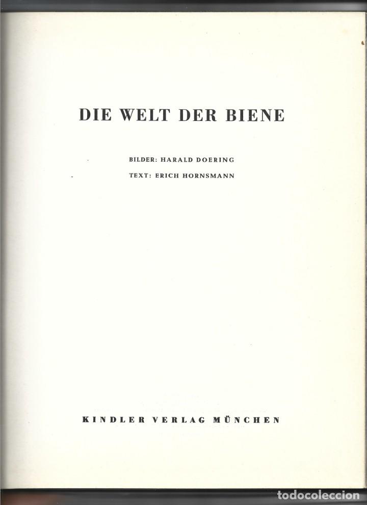 Libros antiguos: DIE WELT DER BIENE.- DOERING, HORNSMANN - Foto 1
