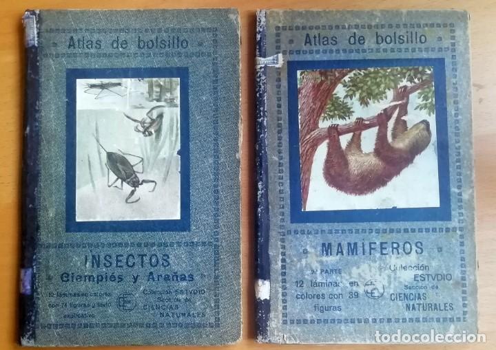 Libros antiguos: Atlas de bolsillo: Insectos y Mam&iacute;feros - 2 tomos - Foto 1