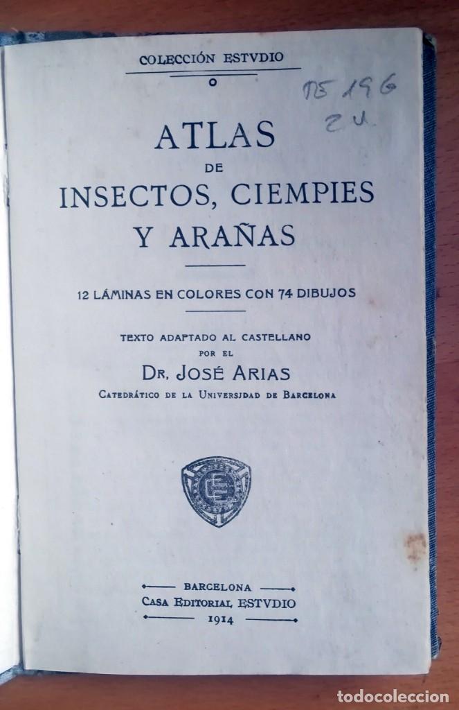 Libros antiguos: Atlas de bolsillo: Insectos y Mam&iacute;feros - 2 tomos - Foto 2