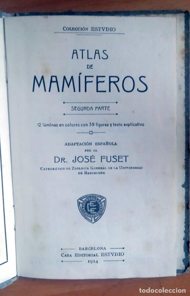 Libros antiguos: Atlas de bolsillo: Insectos y Mam&iacute;feros - 2 tomos - Foto 3