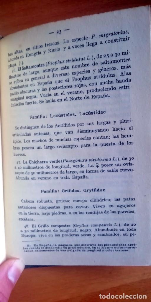 Libros antiguos: Atlas de bolsillo: Insectos y Mam&iacute;feros - 2 tomos - Foto 4